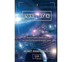 1233-3/13 - Mehmet Ayhan Günaydın - Cinius Yayınları