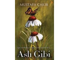 Aslı Gibi - Mustafa Çakır - Cinius Yayınları