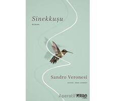 Sinekkuşu - Sandro Veronesi - Can Yayınları
