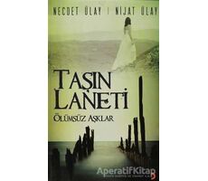 Taşın Laneti - Necdet Ülay - Cinius Yayınları