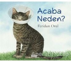 Acaba Neden? - Feridun Oral - Yapı Kredi Yayınları