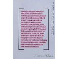 17. İstanbul Bienali - Artçı Düşünceler (Katalog) - Kolektif - Yapı Kredi Yayınları