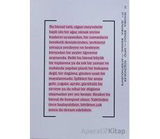 17. İstanbul Bienali - Artçı Düşünceler (Katalog) - Kolektif - Yapı Kredi Yayınları