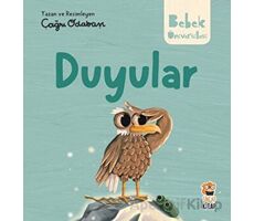 Hikayeli İlk Kavramlarım - Duyular - Çağrı Odabaşı - Sincap Kitap