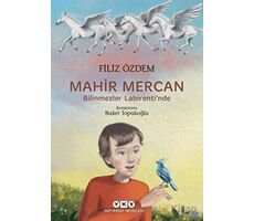 Mahir Mercan - Bilinmezler Labirentinde - Filiz Özdem - Yapı Kredi Yayınları