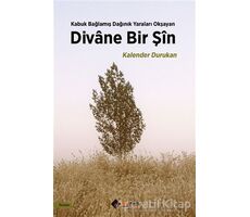 Divane Bir Şin - Kalender Durukan - Aryen Yayınları