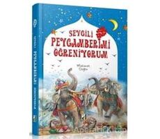 Sevgili Peygamberimi Öğreniyorum - Mehmet Doğru - Damla Yayınevi