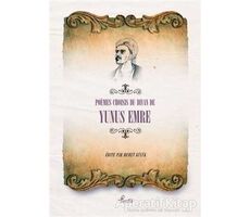 Poemes Choisises du Divan de Yunus Emre - Yunus Emre - Profil Kitap