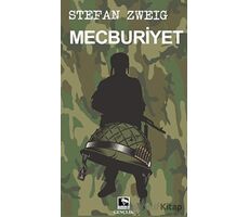 Mecburiyet - Stefan Zweig - Çınaraltı Yayınları