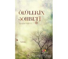 Ölülerin Sohbeti - İbrahim Halil Er - Mevsimler Kitap