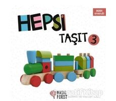 Hepsi Taşıt 3 - Kübra Akşil - Masalperest