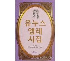 Korece Yunus Emre Divanı Seçme Şiirler - Demet Küçük - Profil Kitap