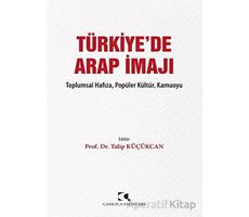 Türkiyede Arap İmajı - Talip Küçükcan - Çamlıca Yayınları