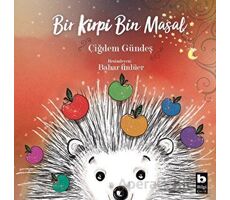 Bir Kirpi Bin Masal - Çiğdem Gündeş - Bilgi Yayınevi