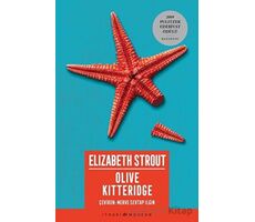 Olive Kitteridge - Elizabeth Strout - İthaki Yayınları