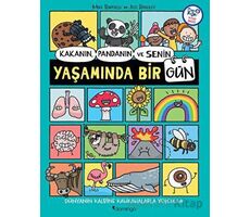 Kakanın, Pandanın ve Senin Yaşamında Bir Gün - Mike Barfield - Domingo Yayınevi