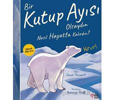 Bir Kutup Ayısı Olsaydın Nasıl Hayatta Kalırdın? - David Stewart - Masalperest