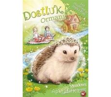 Dostluk Ormanı-6 / İnci Dikenlisırtın Harika Planı - Daisy Meadows - Beyaz Balina Yayınları