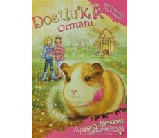 Dostluk Ormanı - 8 / Gül Tomurcuk Nasıl Kaçtı? - Daisy Meadows - Beyaz Balina Yayınları