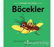 Böcekler - Tepeden Kuyruğa - Stacey Roderick - Domingo Yayınevi