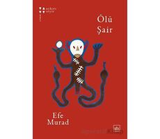 Ölü Şair - Efe Murad - İthaki Yayınları