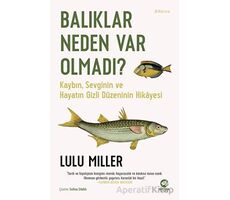 Balıklar Neden Var Olmadı? - Lulu Miller - Nova Kitap