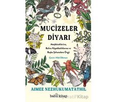 Mucizeler Diyarı: Ateşböceklerine, Balina Köpekbalıklarına ve Başka Şahanelere Övgü