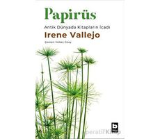 Papirüs - Irene Vallejo - Bilgi Yayınevi