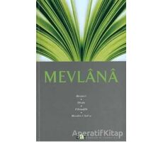 Mevlana - Mevlana Celaleddin Rumi - Say Yayınları