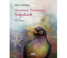 Umudunu Yitirmeyen Sığırcık - Filiz Özdem - Yapı Kredi Yayınları