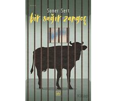 Bir Sağır Zangoç - Soner Sert - İthaki Yayınları