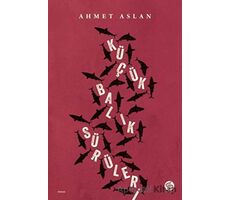 Küçük Balık Sürüleri - Ahmet Aslan - Sahi Kitap