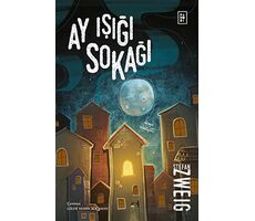 Ay Işığı Sokağı - Stefan Zweig - Parodi Yayınları