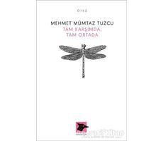 Tam Karşımda, Tam Ortada - Mehmet Mümtaz Tuzcu - Alakarga Sanat Yayınları