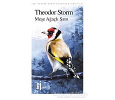 Meşe Ağaçlı Şato - Theodor Storm - İlgi Kültür Sanat Yayınları