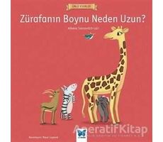 Zürafanın Boynu Neden Uzun? - Albena Ivanovitch-Lair - Mavi Kelebek Yayınları