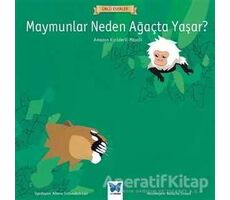 Maymunlar Neden Ağaçta Yaşar? - Kolektif - Mavi Kelebek Yayınları