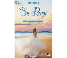 Su Rengi - Asalet Salgınoğlu - Çınaraltı Yayınları