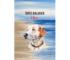 Oko - İdris Baluken - Dipnot Yayınları