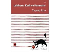 Labirent Kedi ve Kumrular - Zeynep Eşin - Alakarga Sanat Yayınları