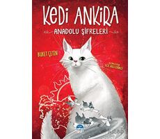 Kedi Ankira - Anadolu Şifreleri - Buket Çetin - Martı Çocuk Yayınları
