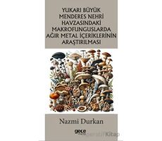 Yukarı Büyük Menderes Nehri Havzasındaki Makrofunguslarda Ağır Metal İçeriklerinin Araştırılması