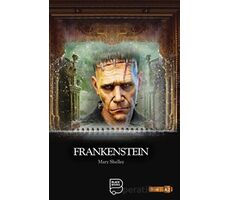 Frankenstein - Mary Shelley - Black Books