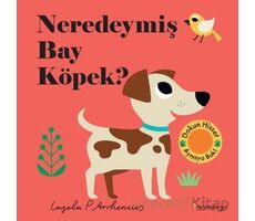 Neredeymiş Bay Köpek? - Kolektif - Domingo Yayınevi