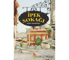 İpek Sokağı - Asalet Salgınoğlu - Meriç Yayınları