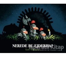 Nerede Bu Ejderha? - Leo Timmers - Marsık Kitap