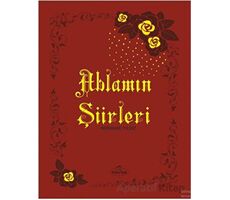 Ablamın Şiirleri - Nebahat Yıldız - Ravza Yayınları