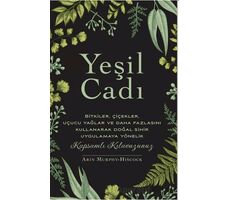 Yeşil Cadı - Arin Murphy - Hiscock - Butik Yayınları