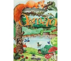 Orman - Anna Casalis - Marsık Kitap