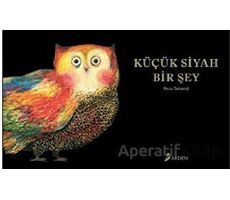 Küçük Siyah Bir Şey - Reza Dalvand - Arden Yayınları